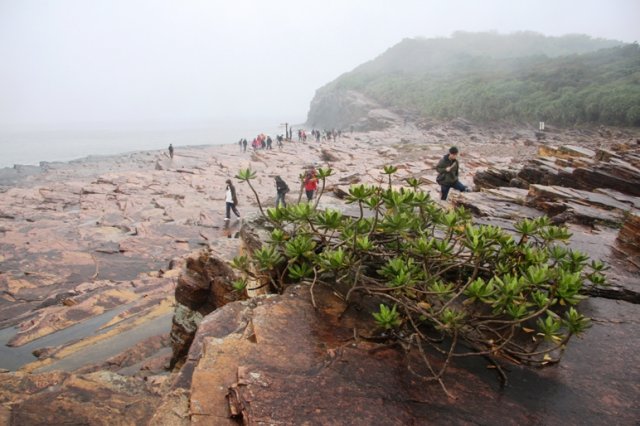 GeoPark (93)